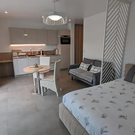 Luxe Avec Piscine Chauffee & Jacuzzi Prive - Cote D'azur Рокфор-ле-Пен